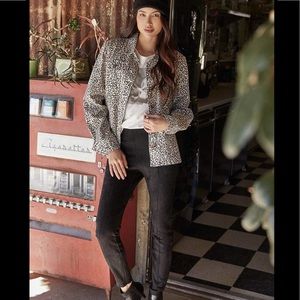 Roz & Ali Faux Suede Black Leggings